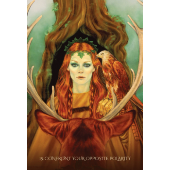 Through the Eyes of the Soul Oracle kortos Blue Angel